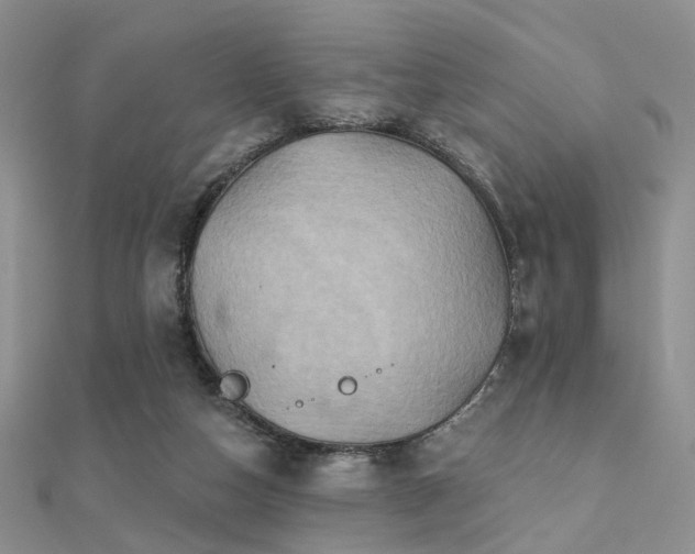 X0000112030162200908101346