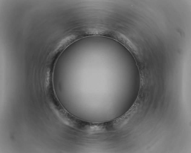 X0000112030163200908101346