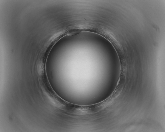 X0000112030164200908101346