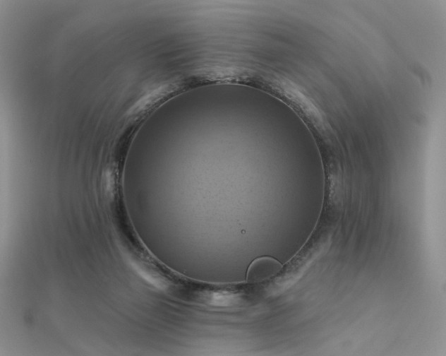 X0000112030165200908101346