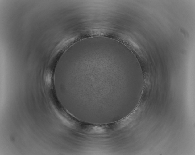 X0000112030166200908101346