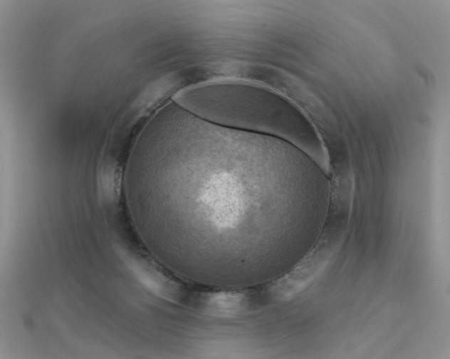 X0000112030168200908101346