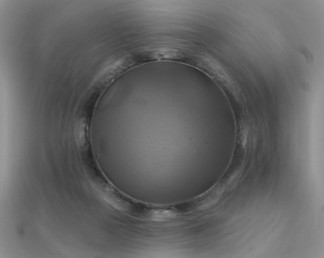 X0000112030169200908101346