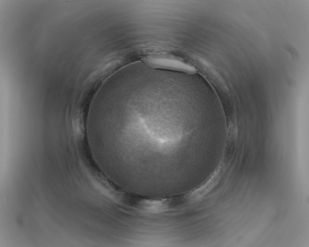 X0000112030170200908101346