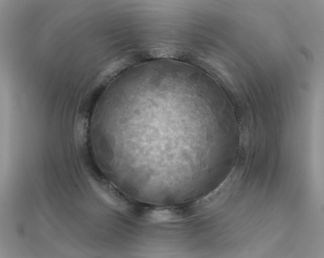 X0000112030171200908101346