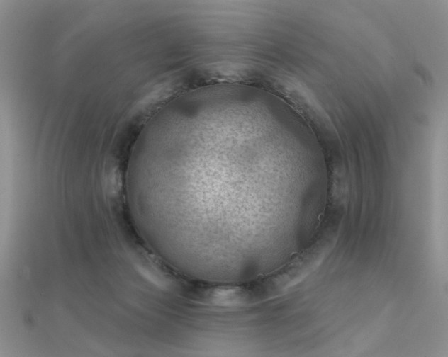 X0000112030173200908101347