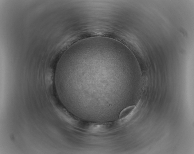 X0000112030174200908101347