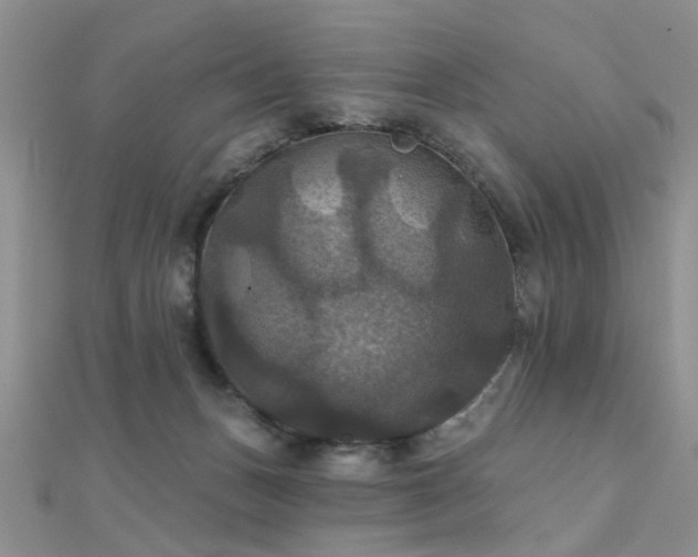 X0000112030175200908101347