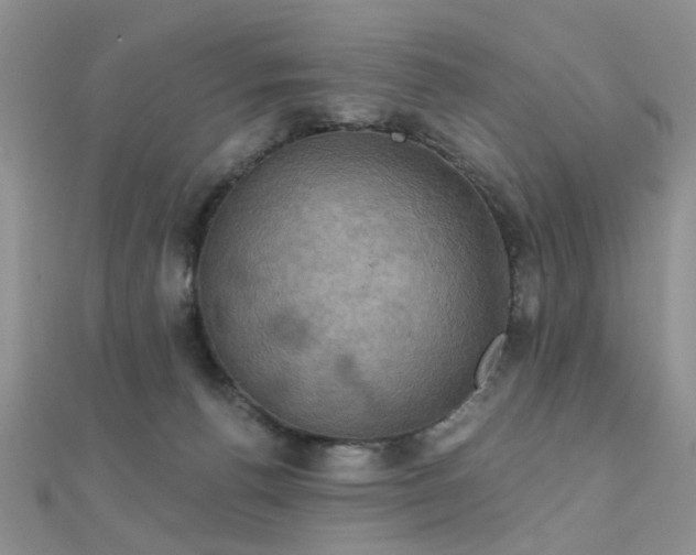 X0000112030176200908101347