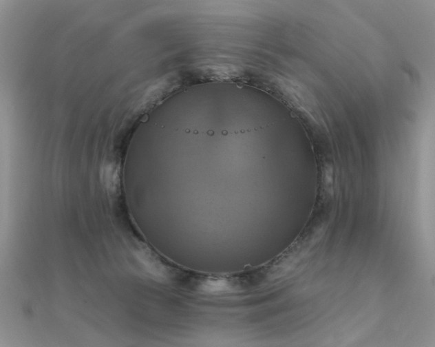 X0000112030177200908101347