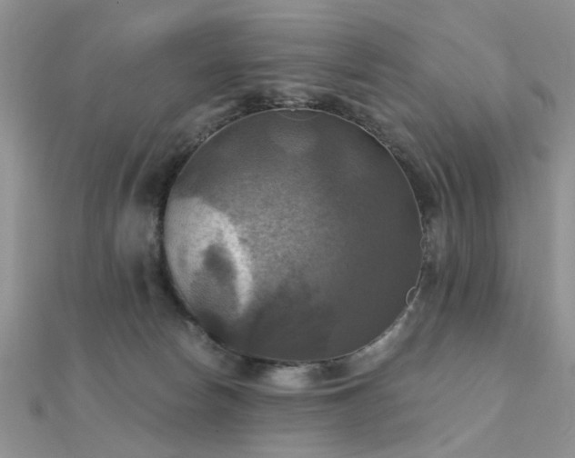 X0000112030178200908101347