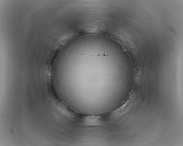 X0000112030179200908101347