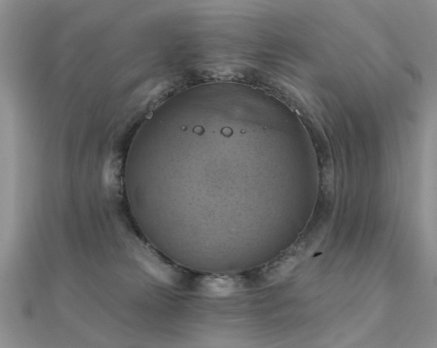 X0000112030181200908101347