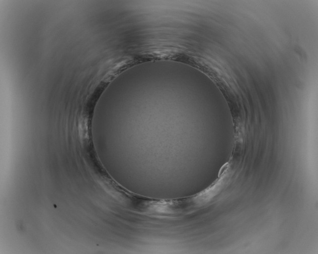X0000112030182200908101347
