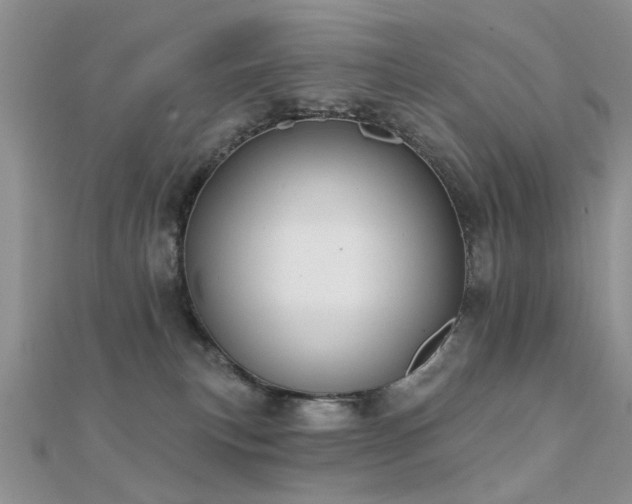 X0000112030183200908101347