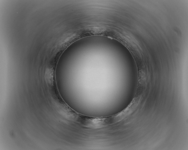 X0000112030184200908101347