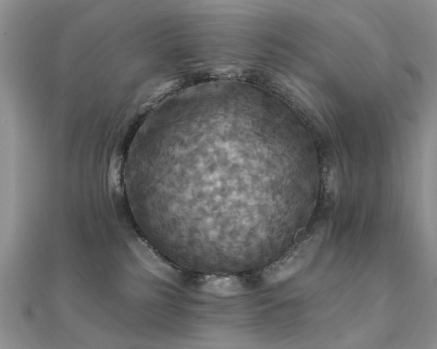 X0000112030185200908101347