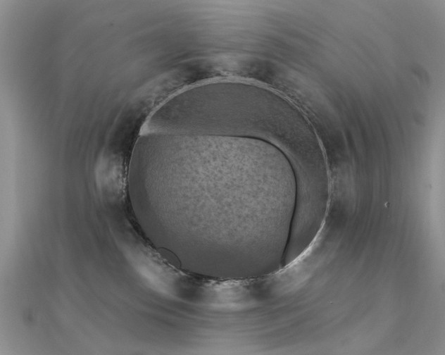 X0000112030186200908101347