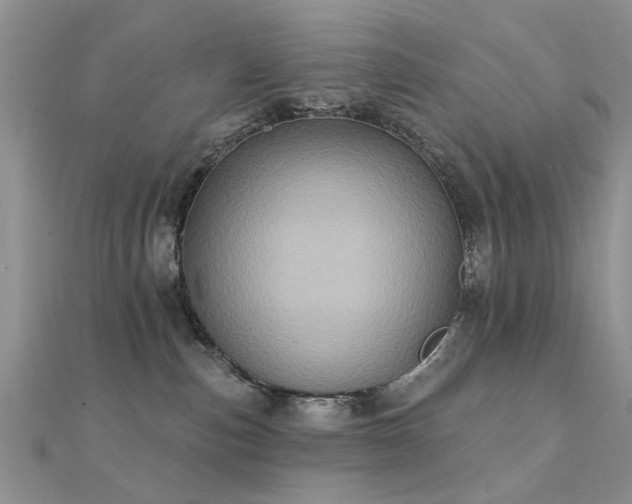 X0000112030187200908101347
