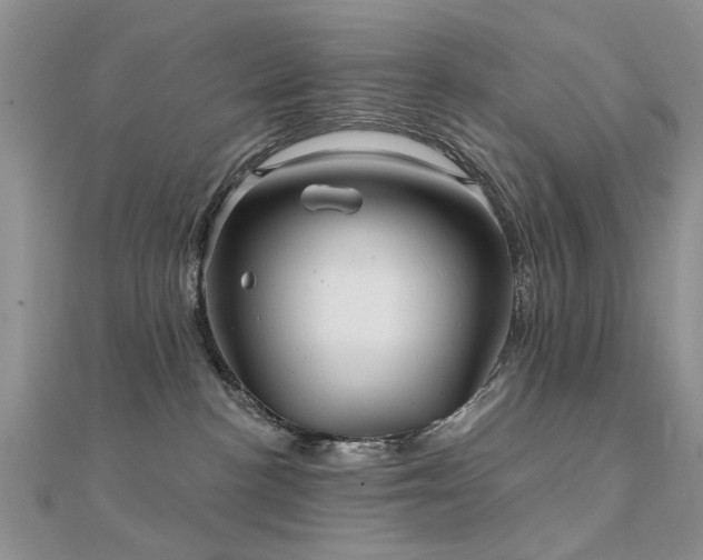 X0000112030188200908101347