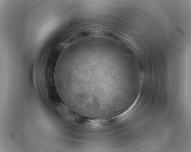 X0000112030190200908101347