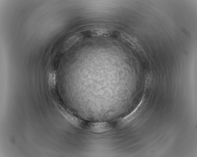 X0000112030191200908101347