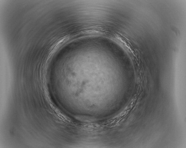 X0000112030193200908101346