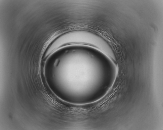 X0000112030195200908101346