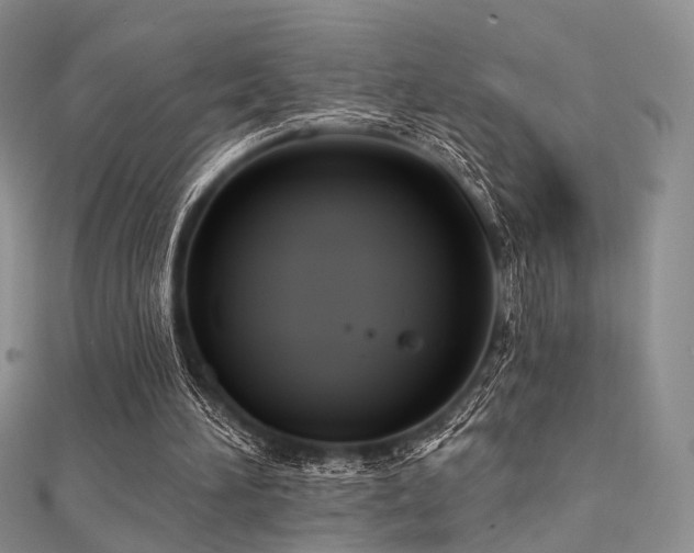 X0000112030196200908101346