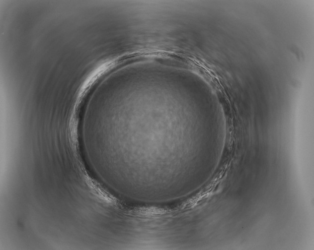 X0000112030197200908101346