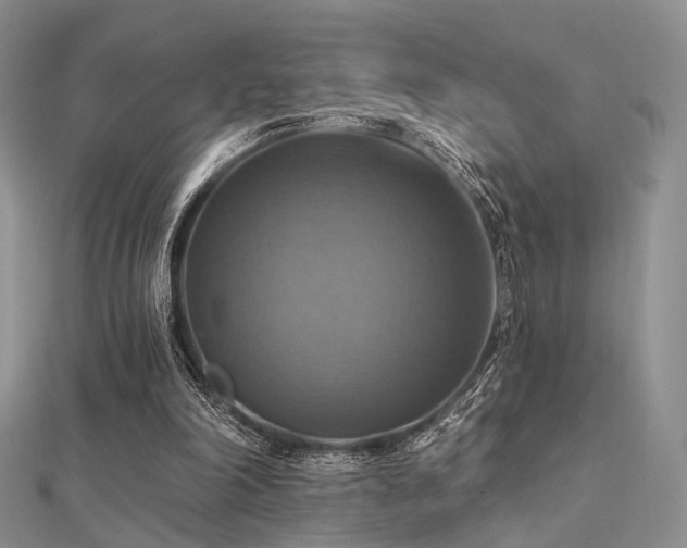 X0000112030198200908101346