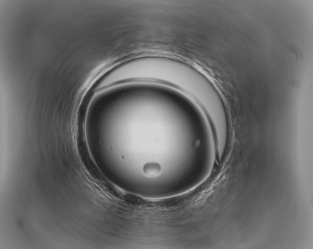 X0000112030199200908101346