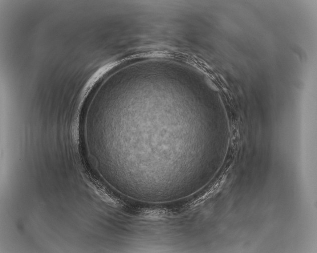 X0000112030200200908101346