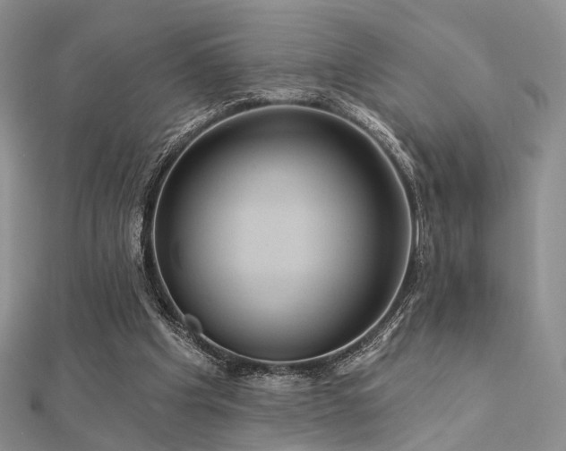 X0000112030201200908101346