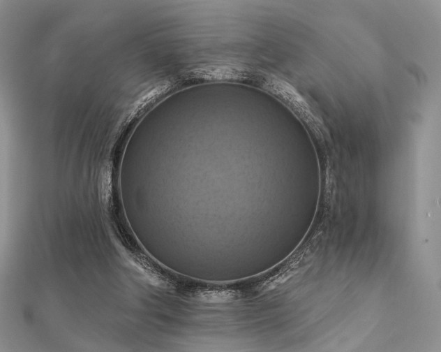 X0000112030202200908101346