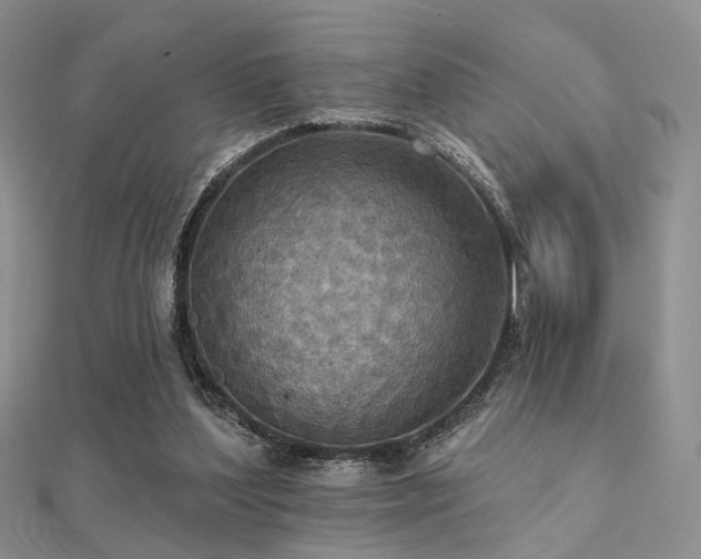 X0000112030204200908101346