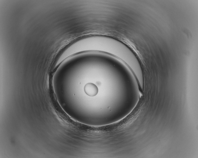 X0000112030205200908101346