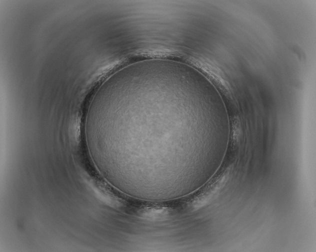 X0000112030206200908101346