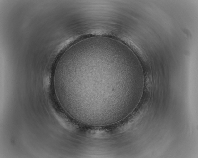 X0000112030208200908101346