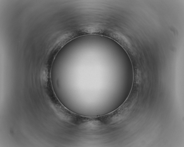 X0000112030210200908101346