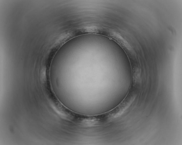 X0000112030213200908101346