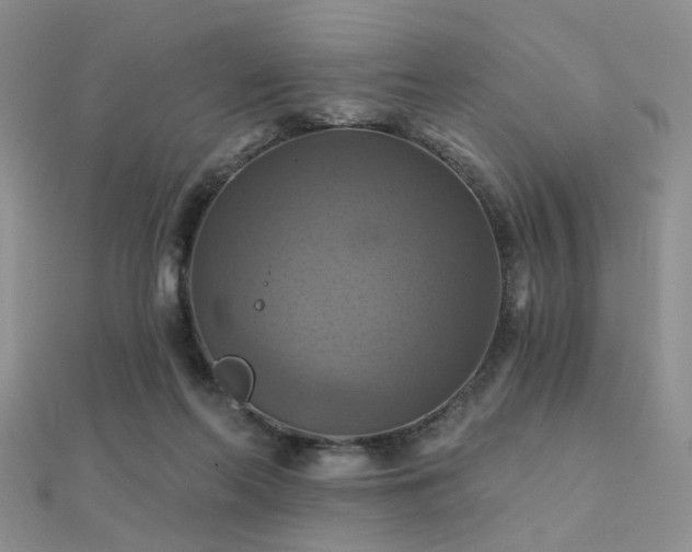 X0000112030214200908101346