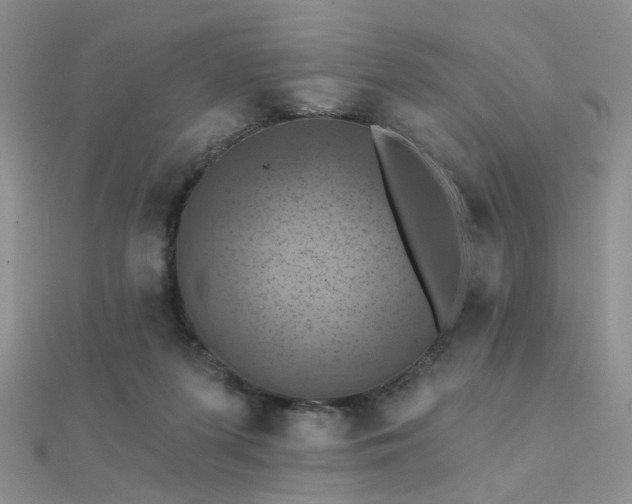 X0000112030215200908101346