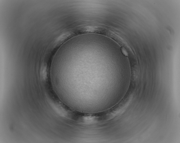 X0000112030216200908101346