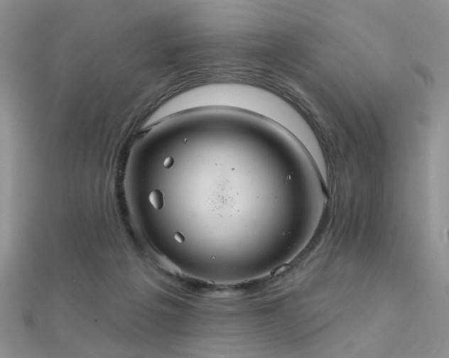 X0000112030217200908101346