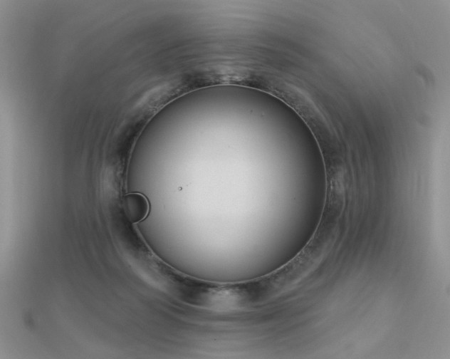 X0000112030218200908101346
