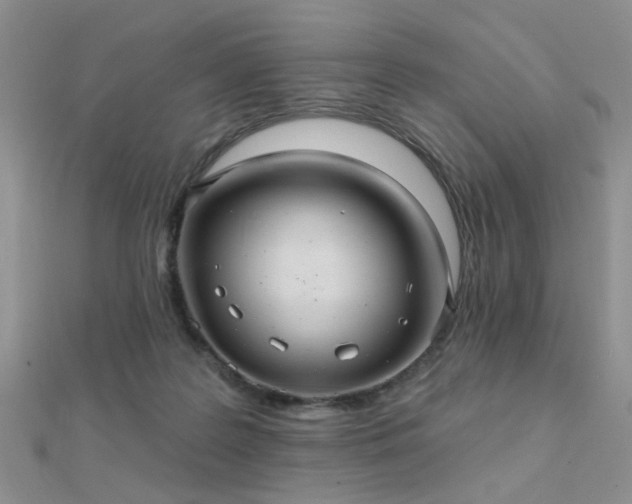 X0000112030219200908101346