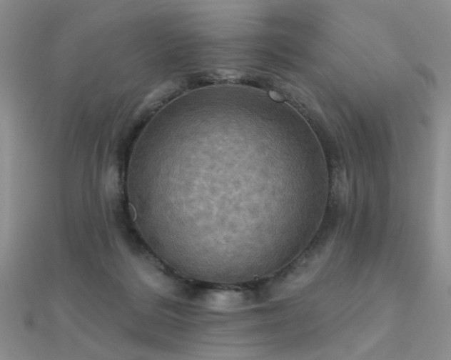 X0000112030220200908101346