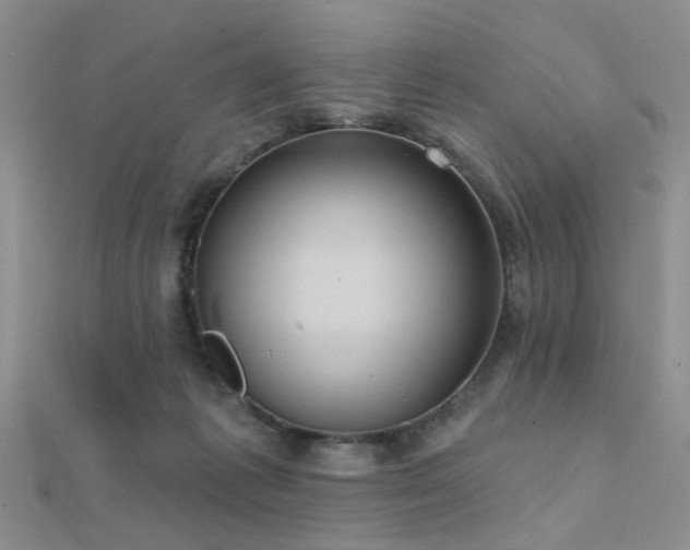 X0000112030221200908101346