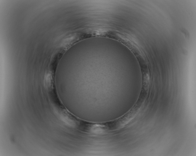 X0000112030222200908101346